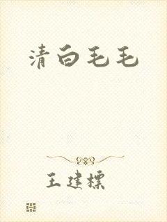 清白毛毛
