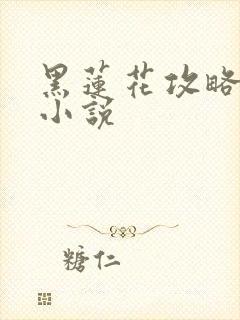 黑莲花攻略手册小说