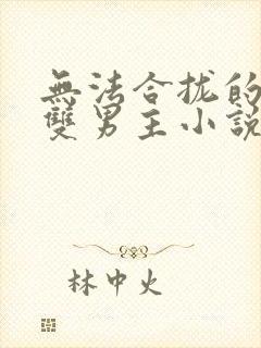 无法合拢的总裁双男主小说