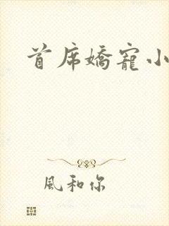 首席娇宠小情人