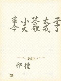宁小茶太子殿下今天破戒了吗免费阅读