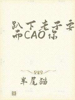 趴下老子要从后面CAO你