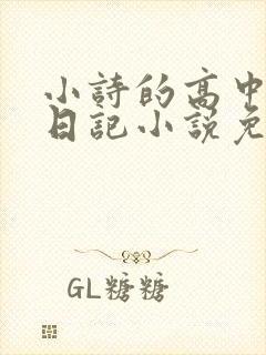 小诗的高中成长日记小说免费阅读