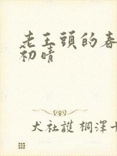 老王头的春天林初晴