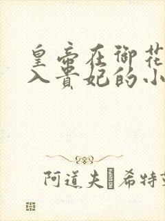 皇帝在御花园进入贵妃的小说