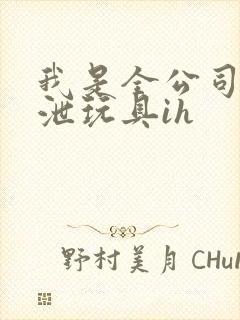 我是全公司的发泄玩具ih