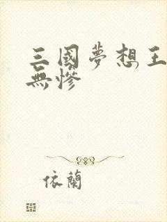 三国梦想王元姬无惨