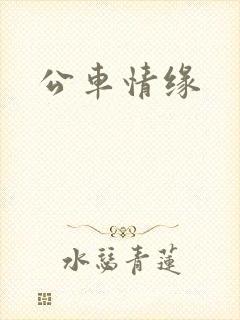 公车情缘