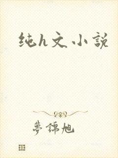 纯h文小说