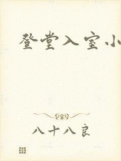 登堂入室小说