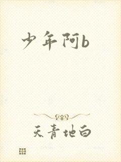 少年阿b