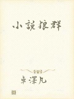 小说狼群