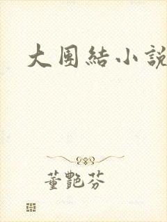 大团结小说全文