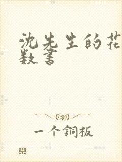 沈先生的花式调数书