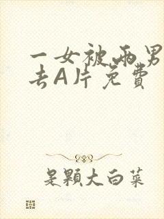 一女被两男桶进去A片免费