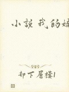 小说 我的娇妻