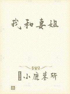我和妻姐
