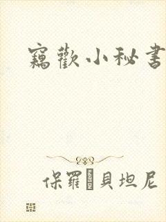 窃欢小秘书