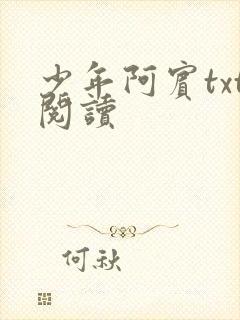 少年阿宾txt阅读