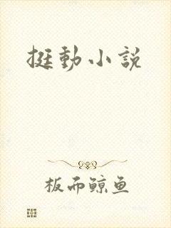 挺动小说