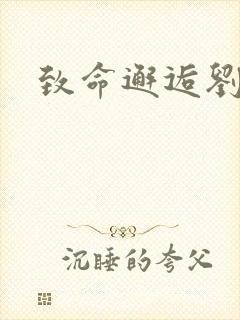 致命邂逅刘小寐