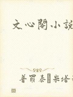 文心阁小说