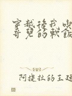 穿越后我吃到了哥儿的软饭炉山灰