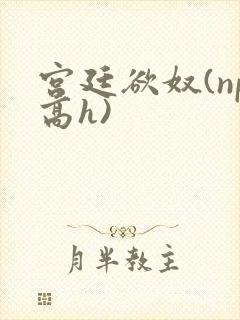 宫廷欲奴(np高h)