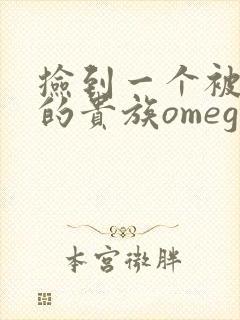 捡到一个被抹布的贵族omega