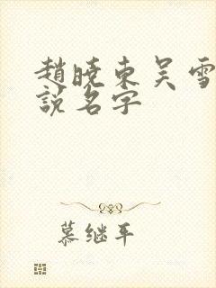 赵晓东吴雪晴小说名字