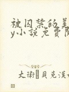 被囚禁的美人by小说免费阅读