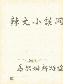 辣文小说网