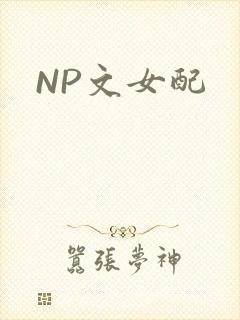 NP文女配