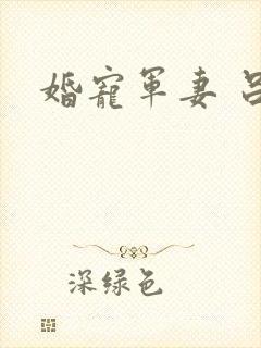 婚宠军妻 吕颜