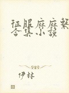 征服麻麻系列大合集小说