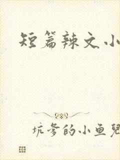 短篇辣文小说