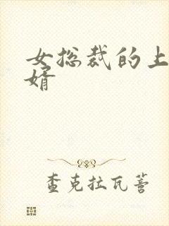 女总裁的上门女婿