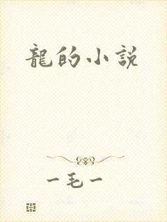 龙的小说