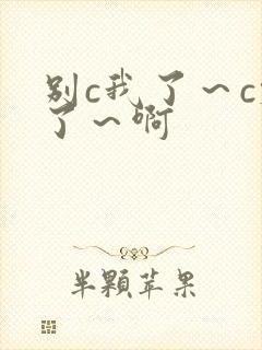 别c我了～c烂了～啊