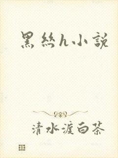 黑丝h小说