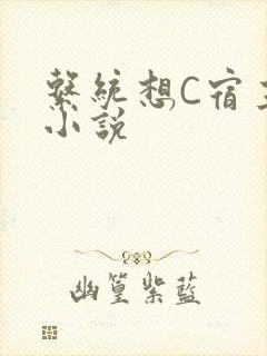 系统想C宿主的小说