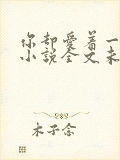 你却爱着一个他小说全文未删减免费