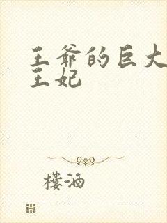 王爷的巨大进入王妃