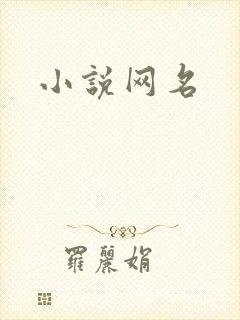 小说网名