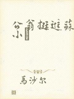 公翁挺进苏玥的小泬