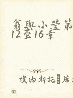 翁与小莹第十部12至16章