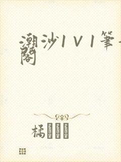 潮沙1∨1笔趣阁