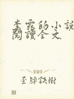 李霖的小说免费阅读全文