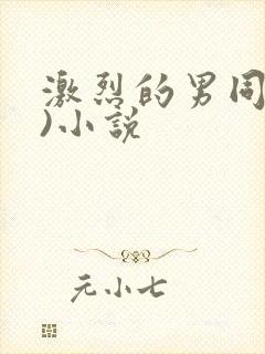激烈的男同(h)小说