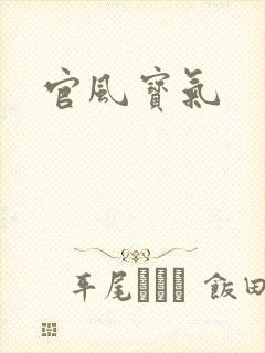 官风宝气